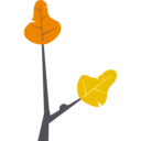 weather,nature,tree,leaf,autumn,fall,tree branch,tree leaf,dry leaf,foliage